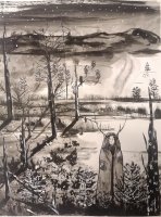 kaamos